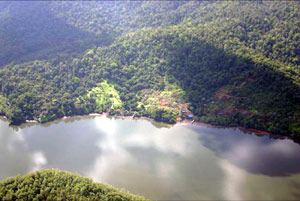 Thickly forested hills rise up from Finca Florida.